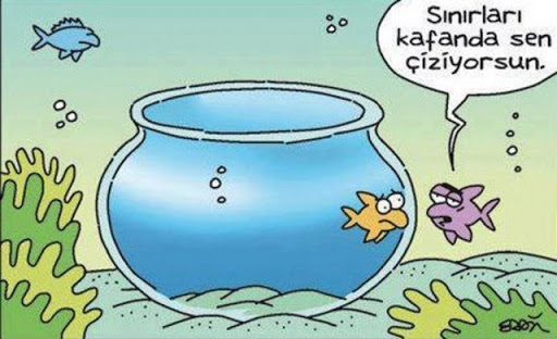 Fotoğraf 1